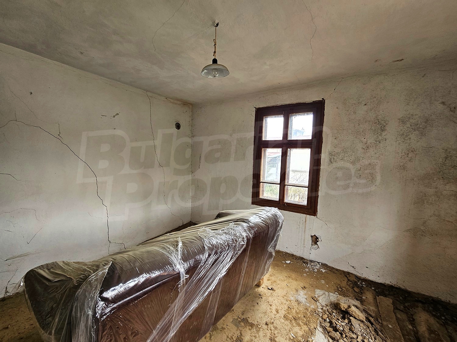 Gallery Picture 13