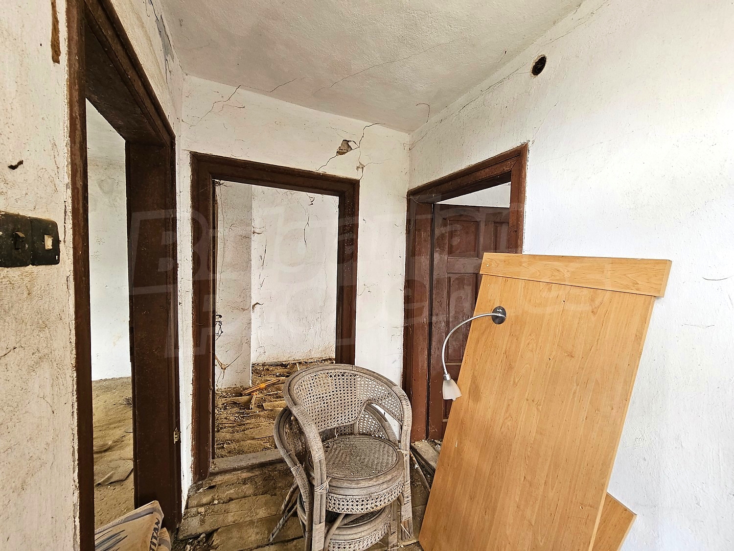 Gallery Picture 14