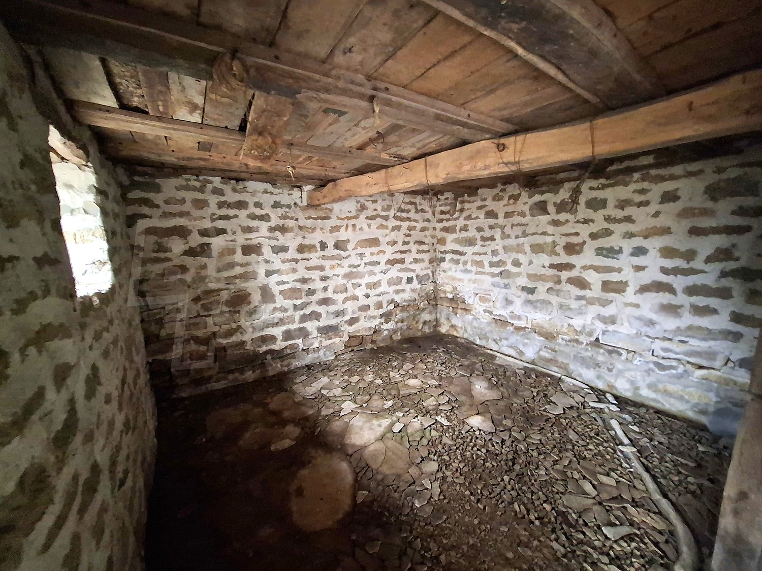 Gallery Picture 11