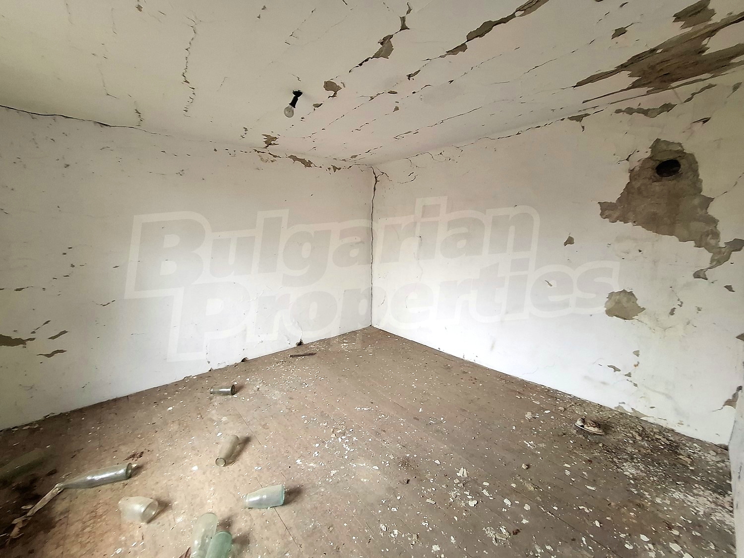 Gallery Picture 10