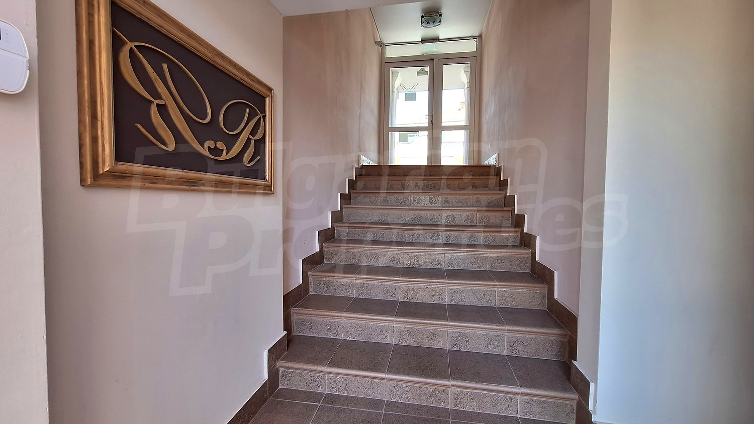 Gallery Picture 14