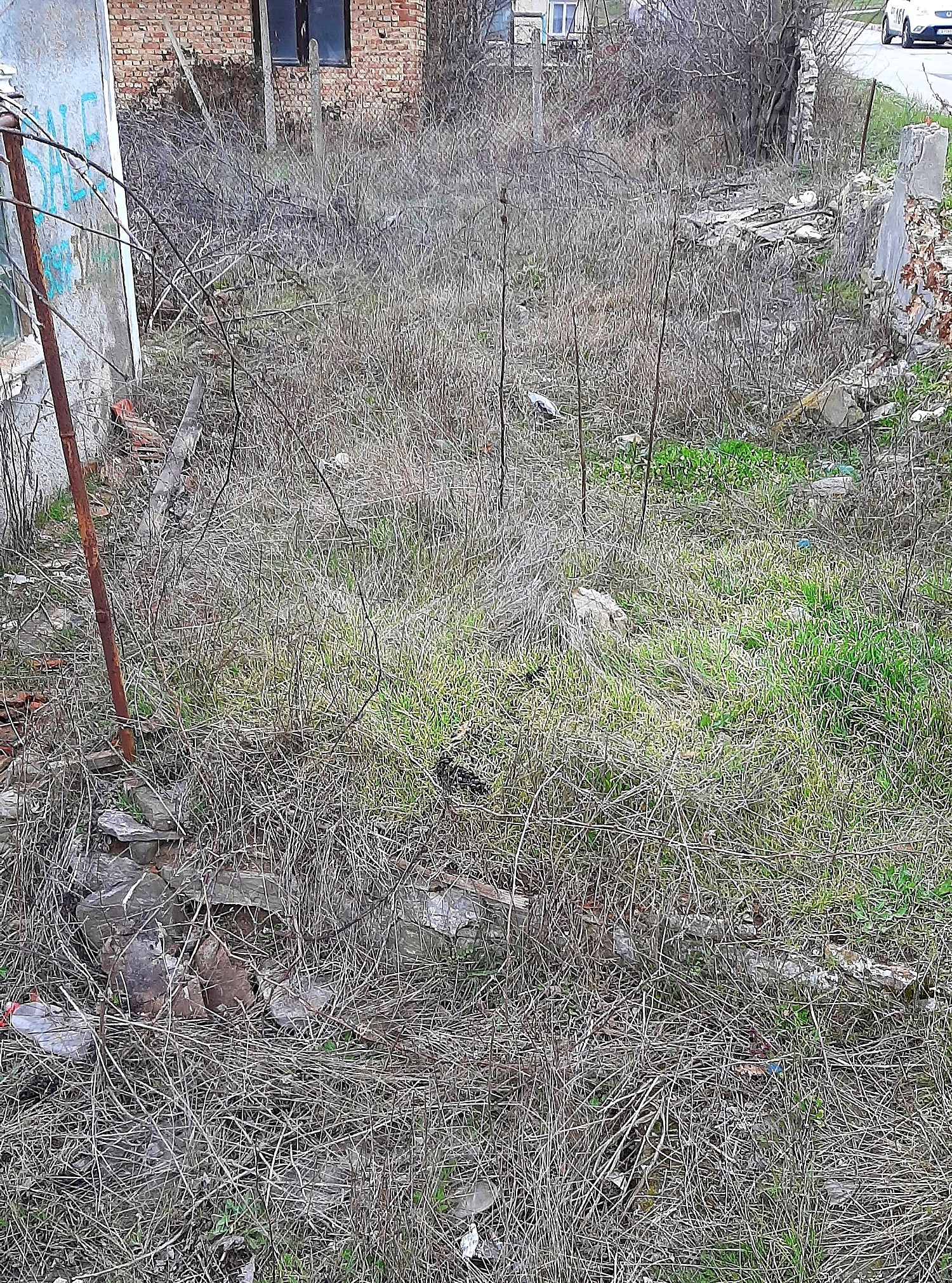 Gallery Picture 5