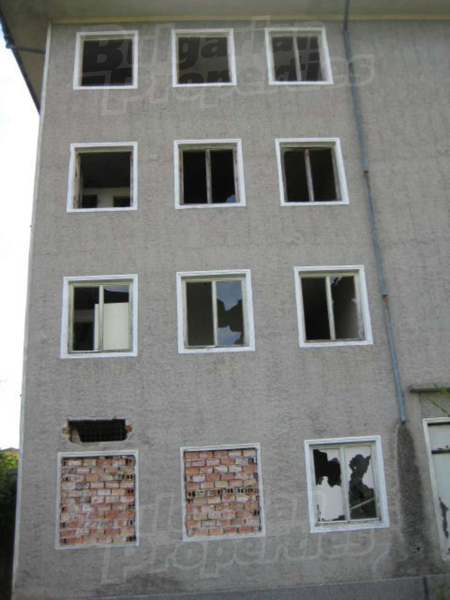 Gallery Picture 13