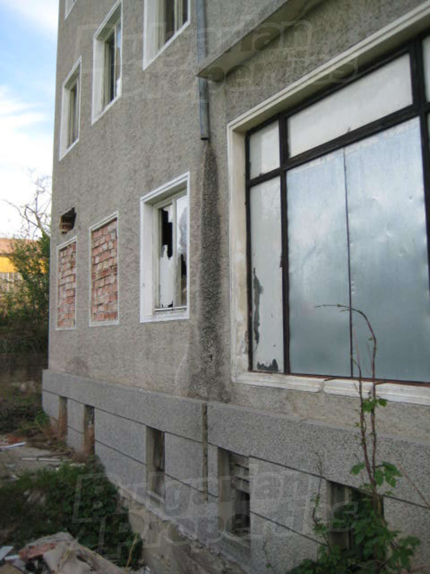 Gallery Picture 15