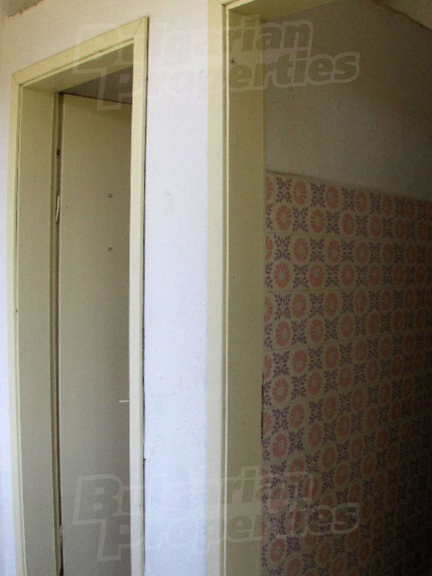 Gallery Picture 23