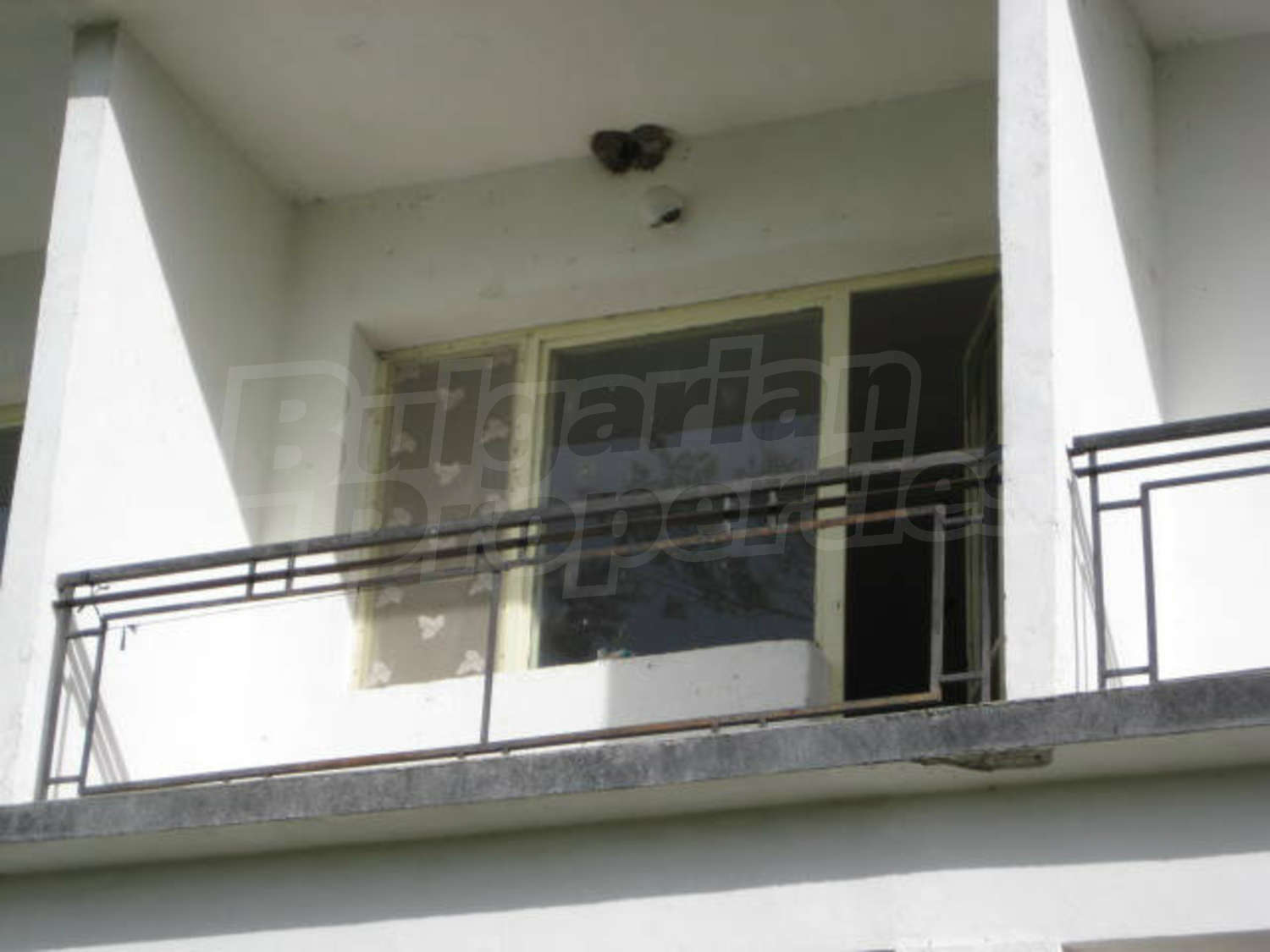Gallery Picture 29