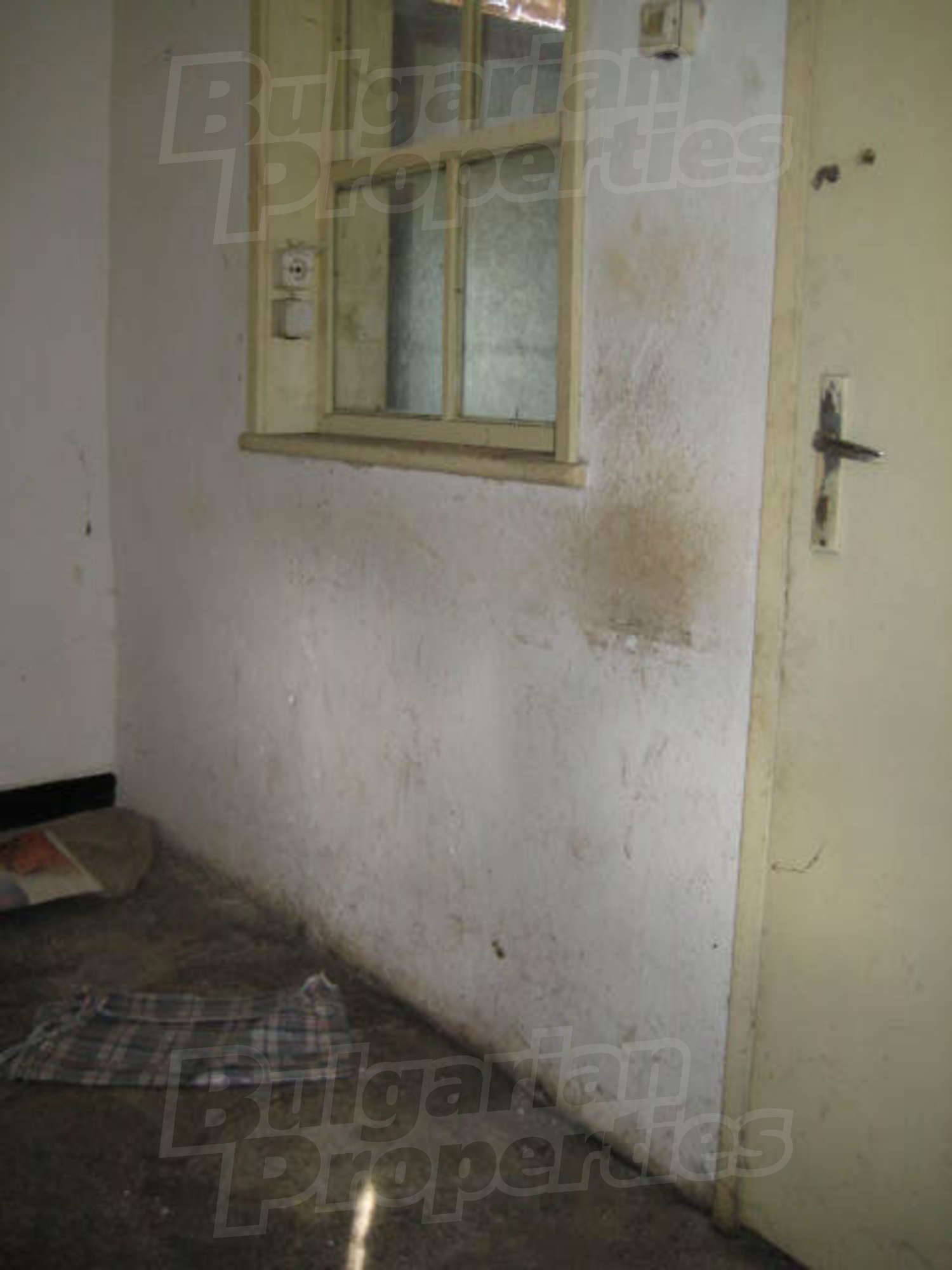 Gallery Picture 31
