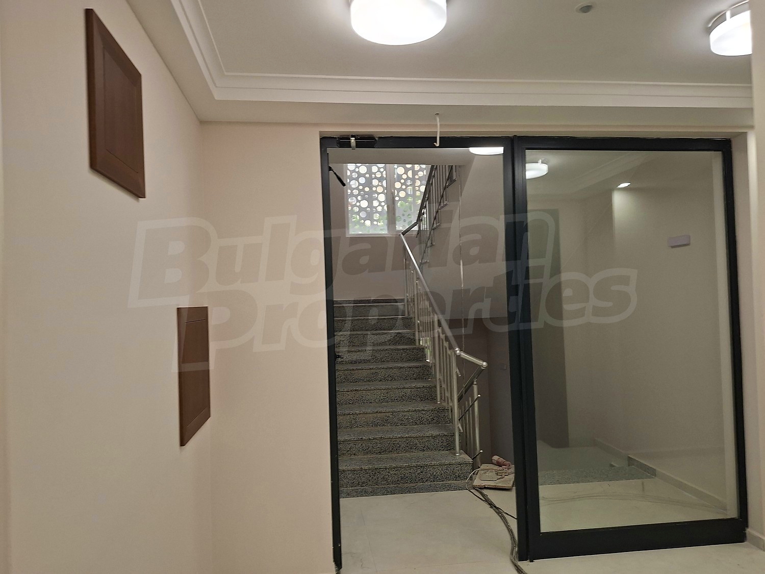 Gallery Picture 51