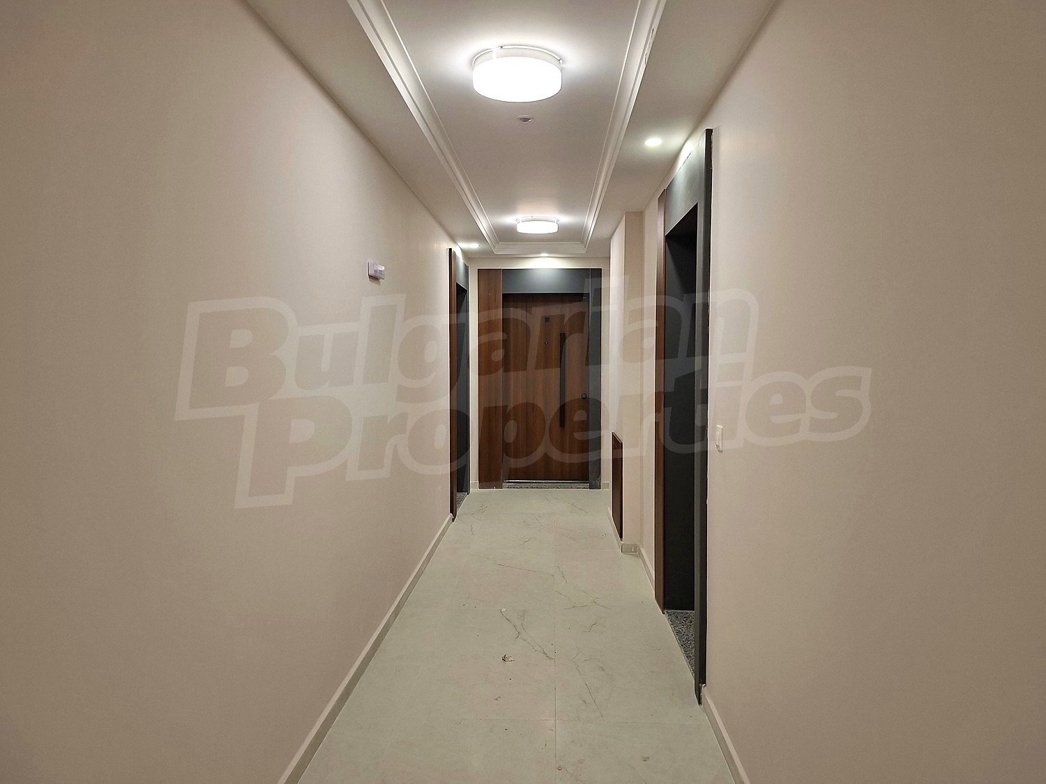 Gallery Picture 52
