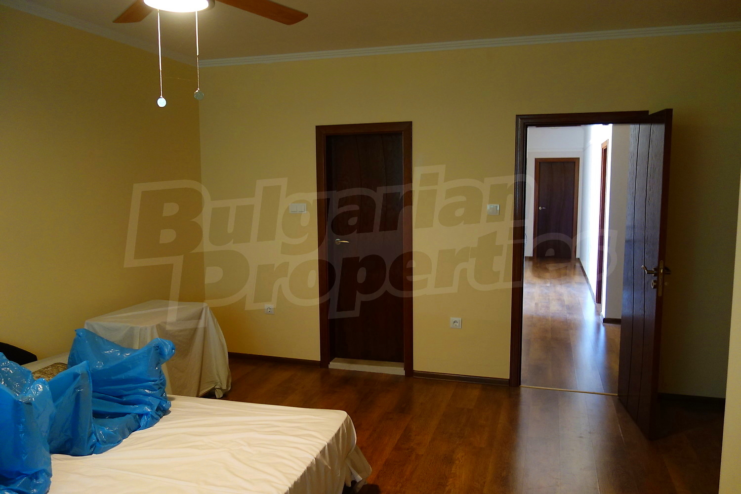Gallery Picture 26