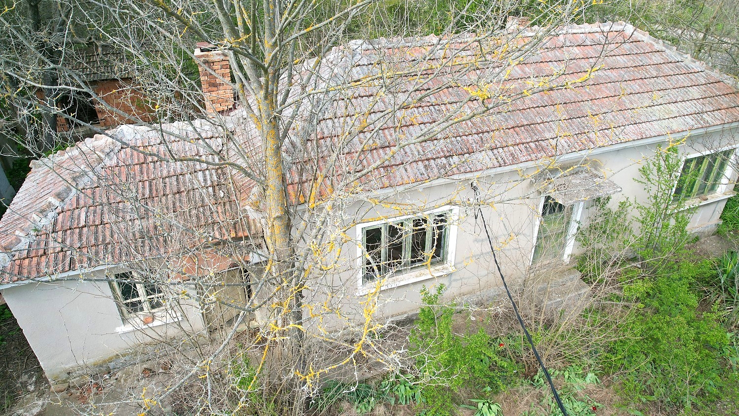 Gallery Picture 31