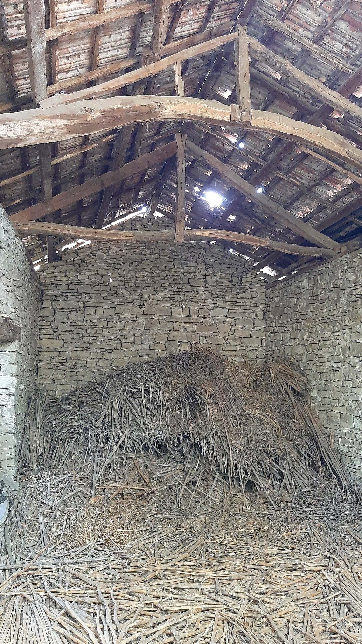 Gallery Picture 15