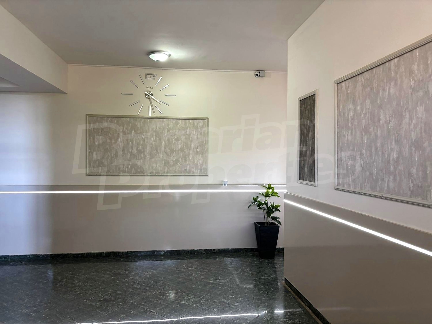 Gallery Picture 17