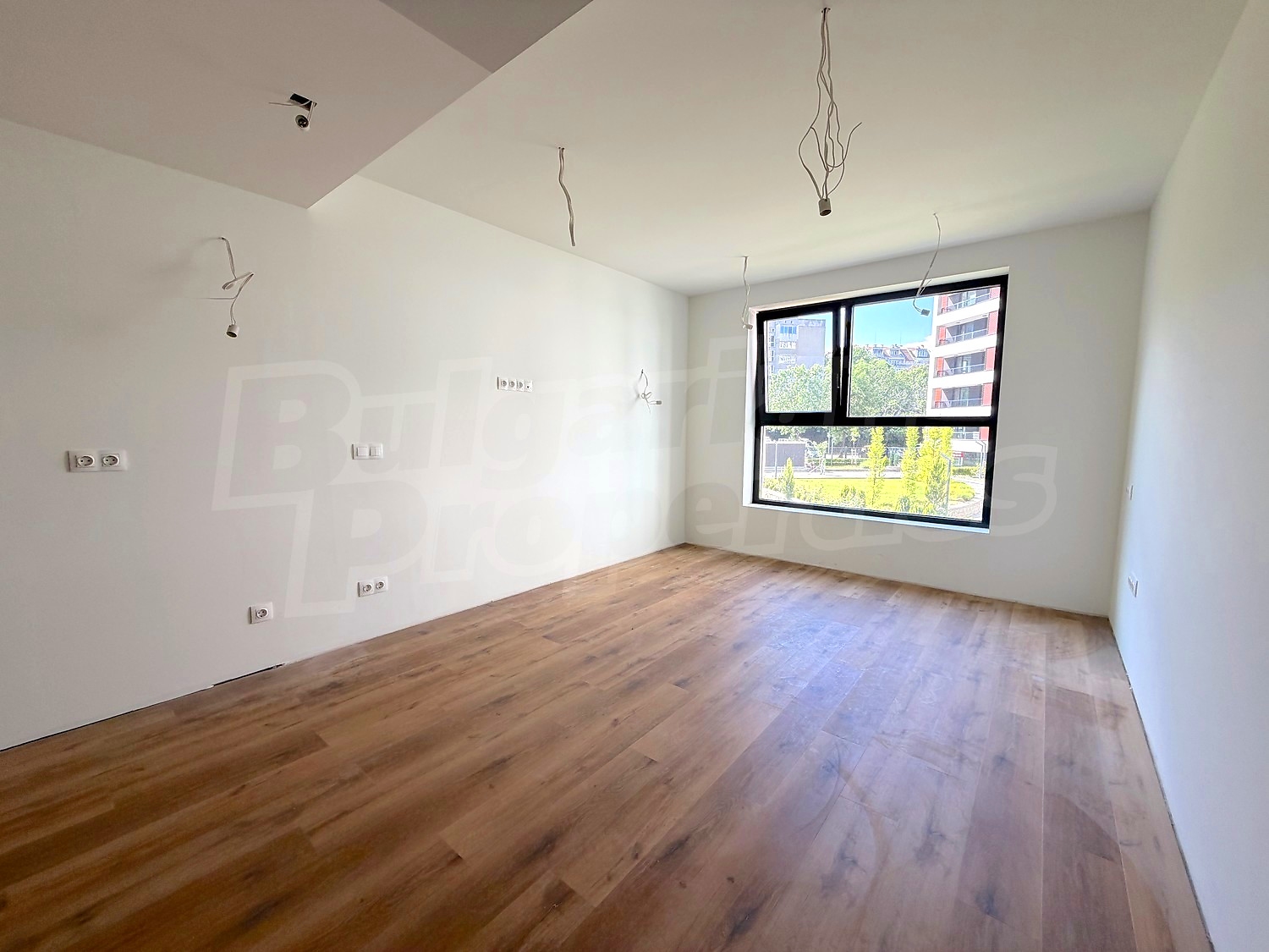 Gallery Picture 13