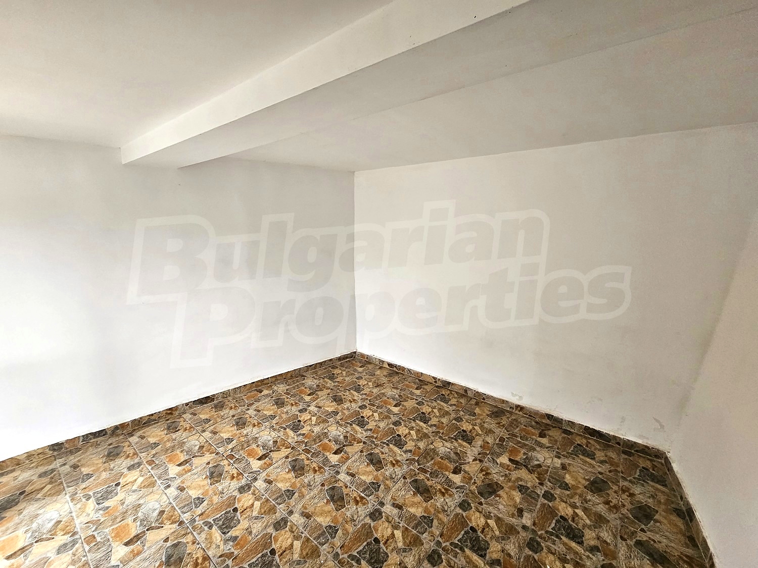Gallery Picture 26