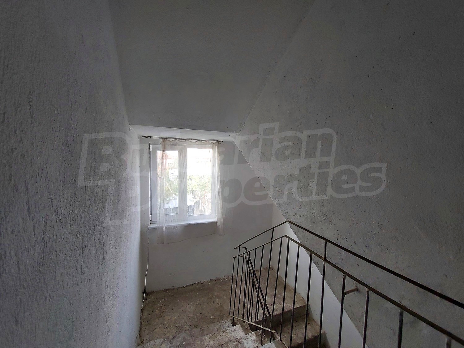 Gallery Picture 10