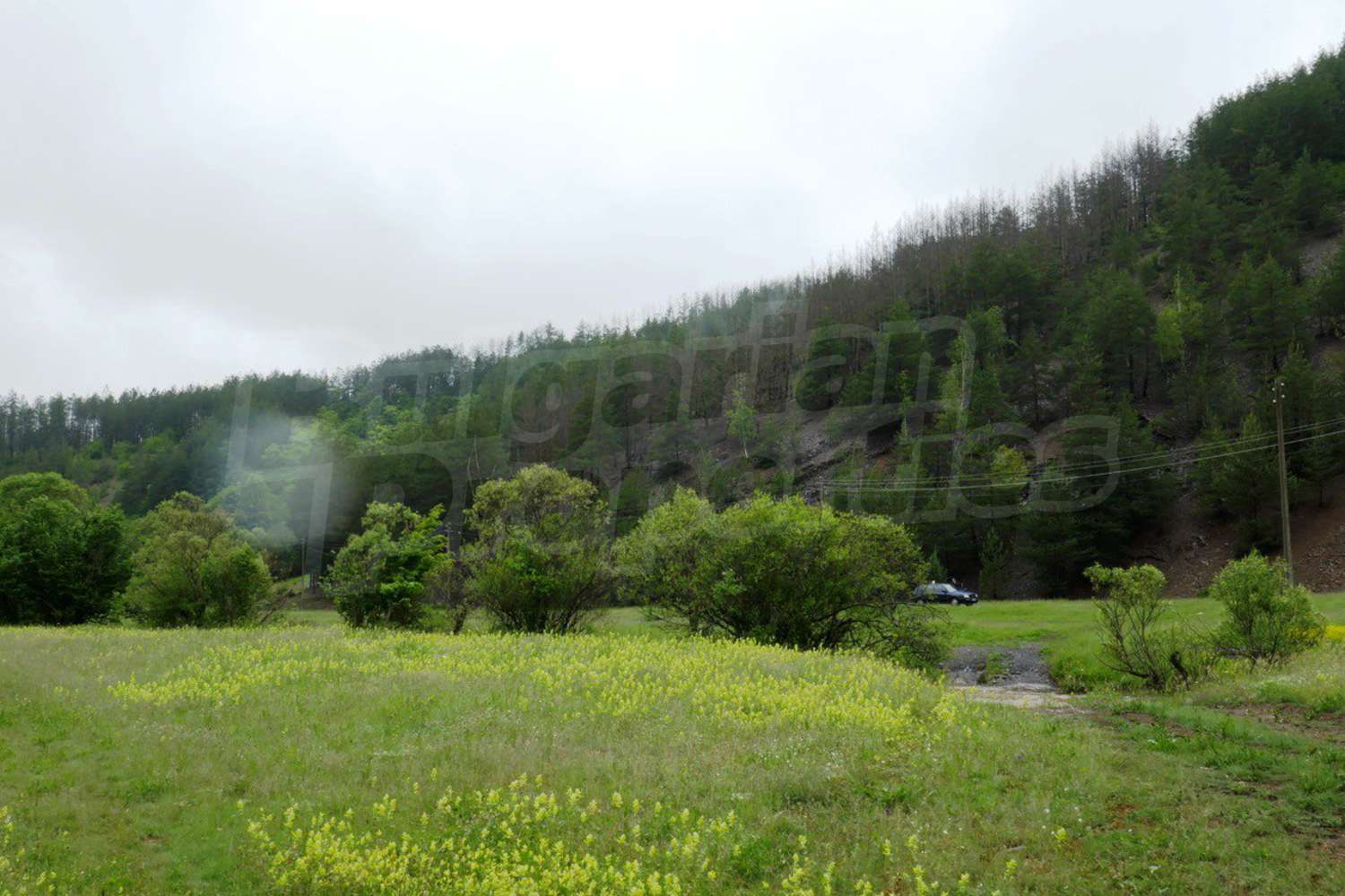 Gallery Picture 16