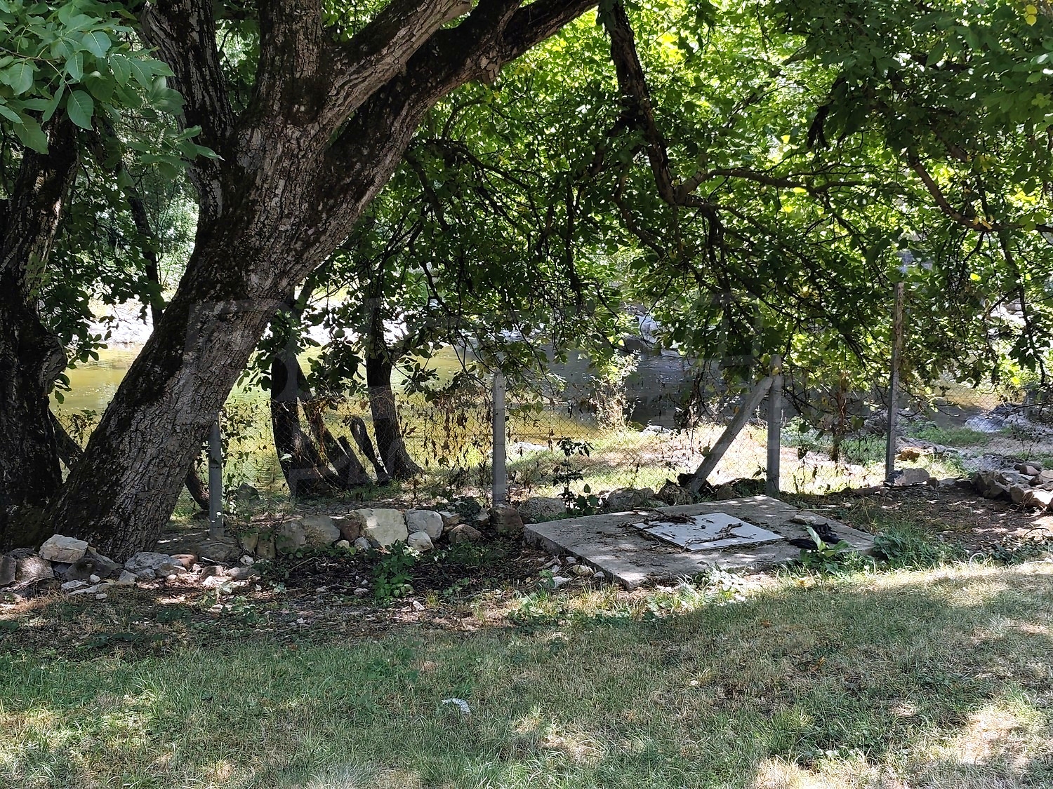 Gallery Picture 57