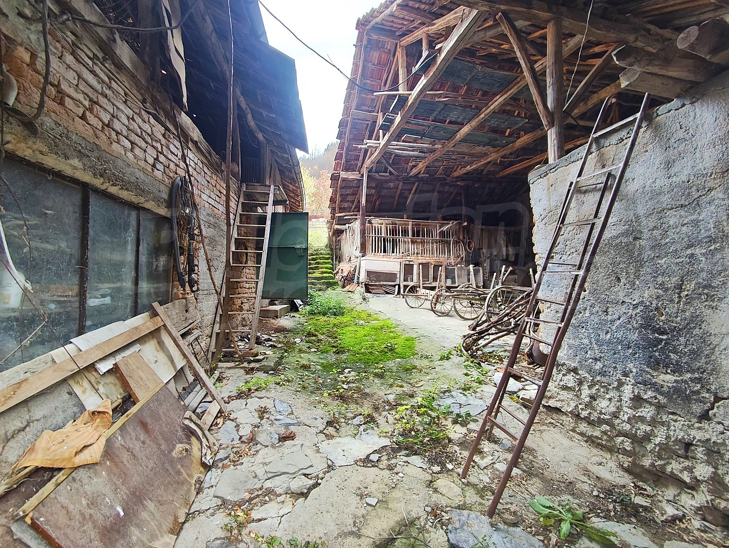 Gallery Picture 5
