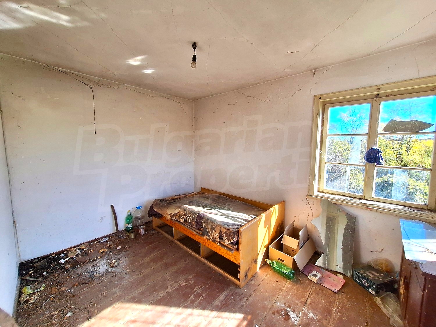 Gallery Picture 10