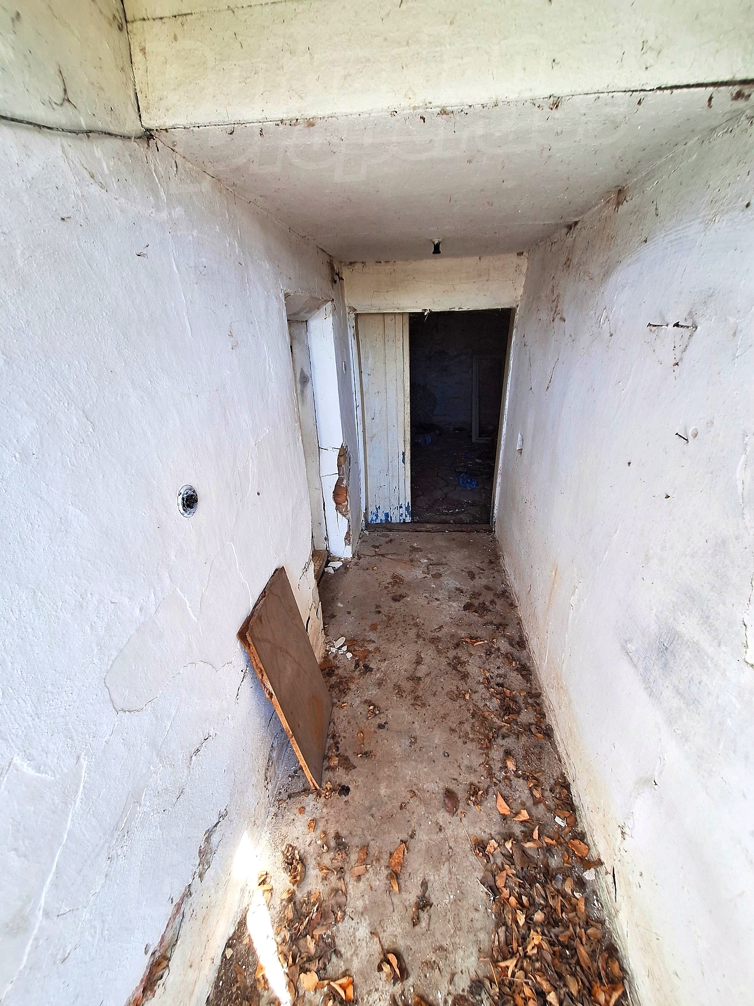 Gallery Picture 8
