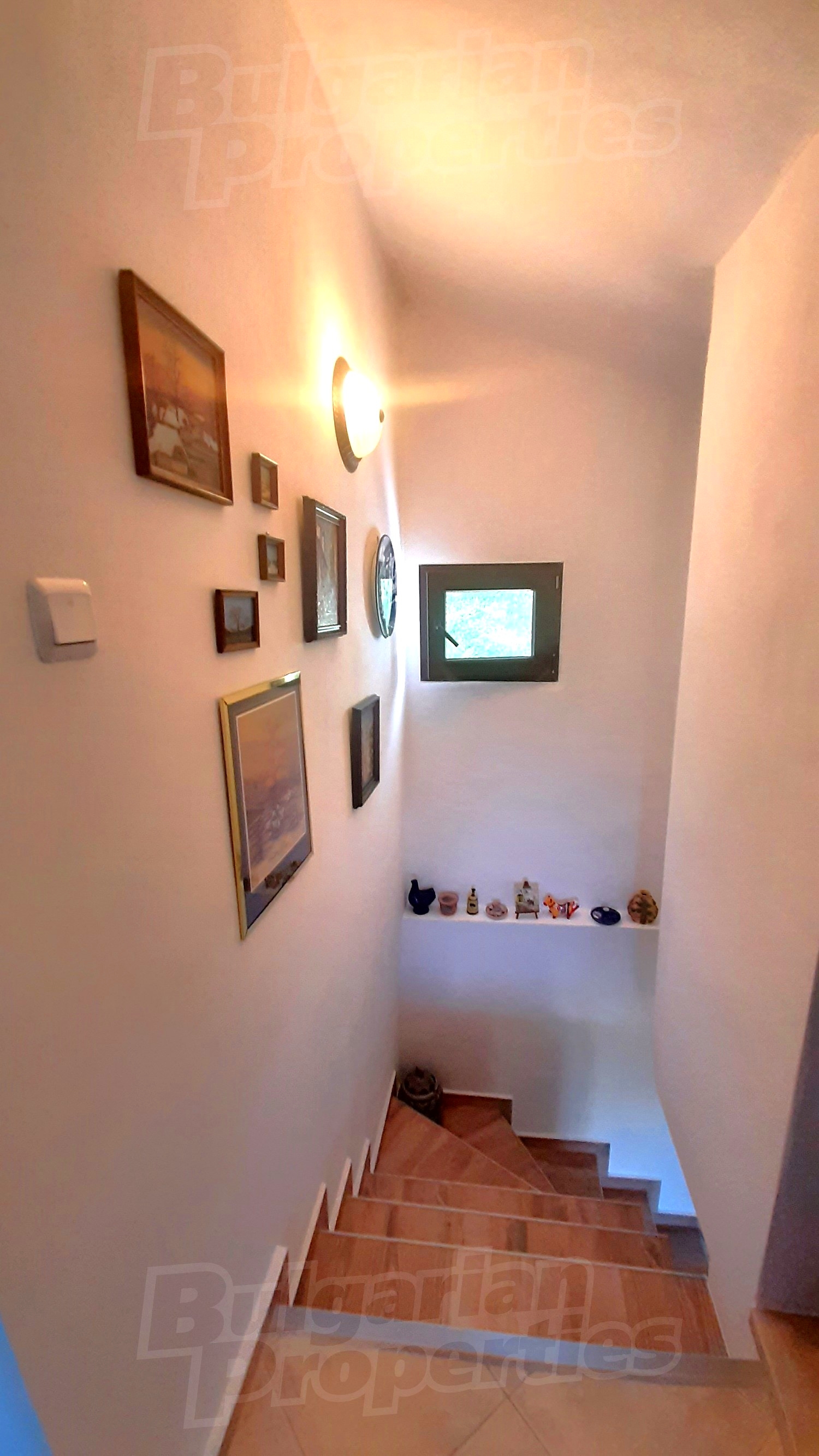 Gallery Picture 17