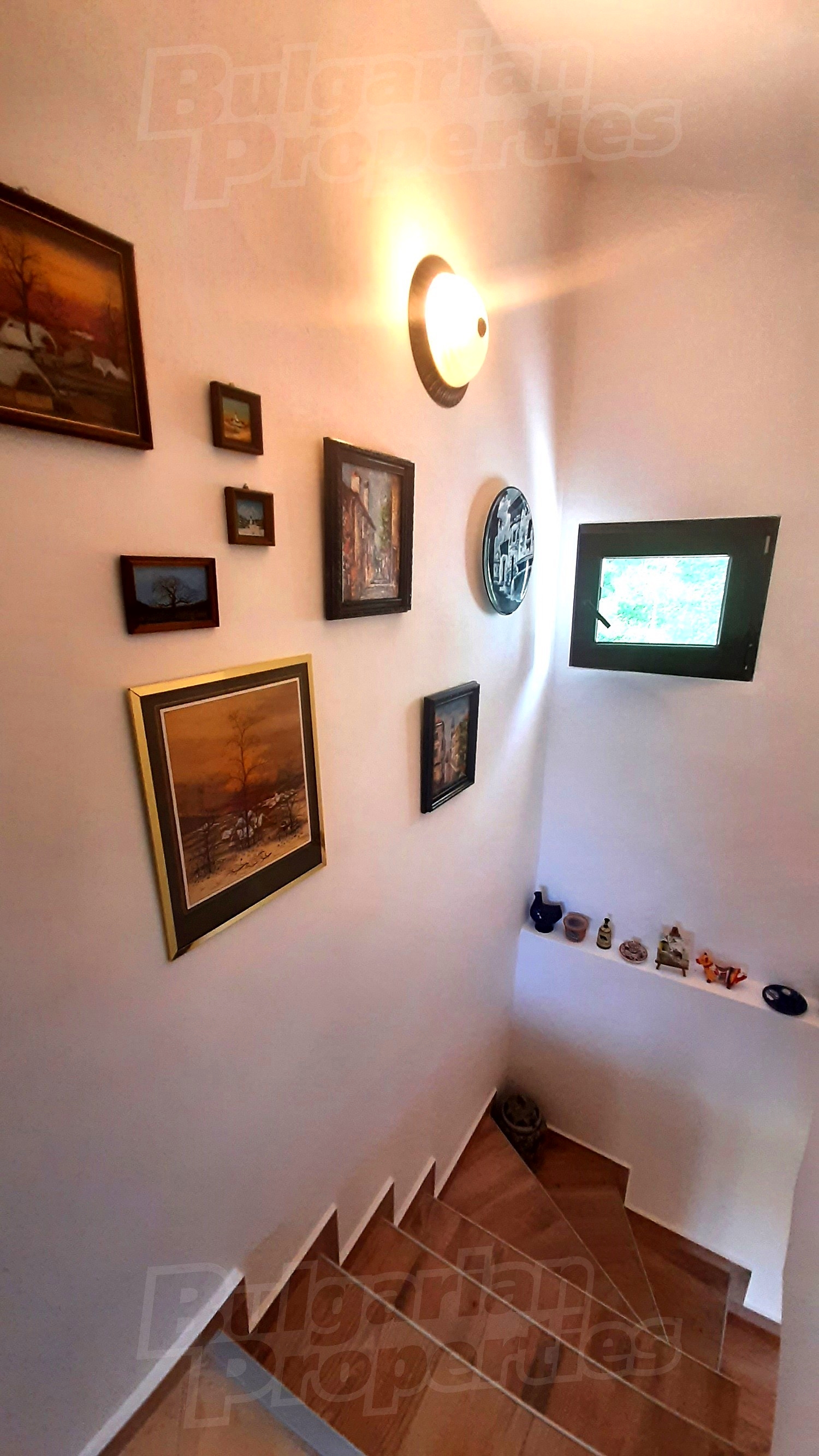 Gallery Picture 23