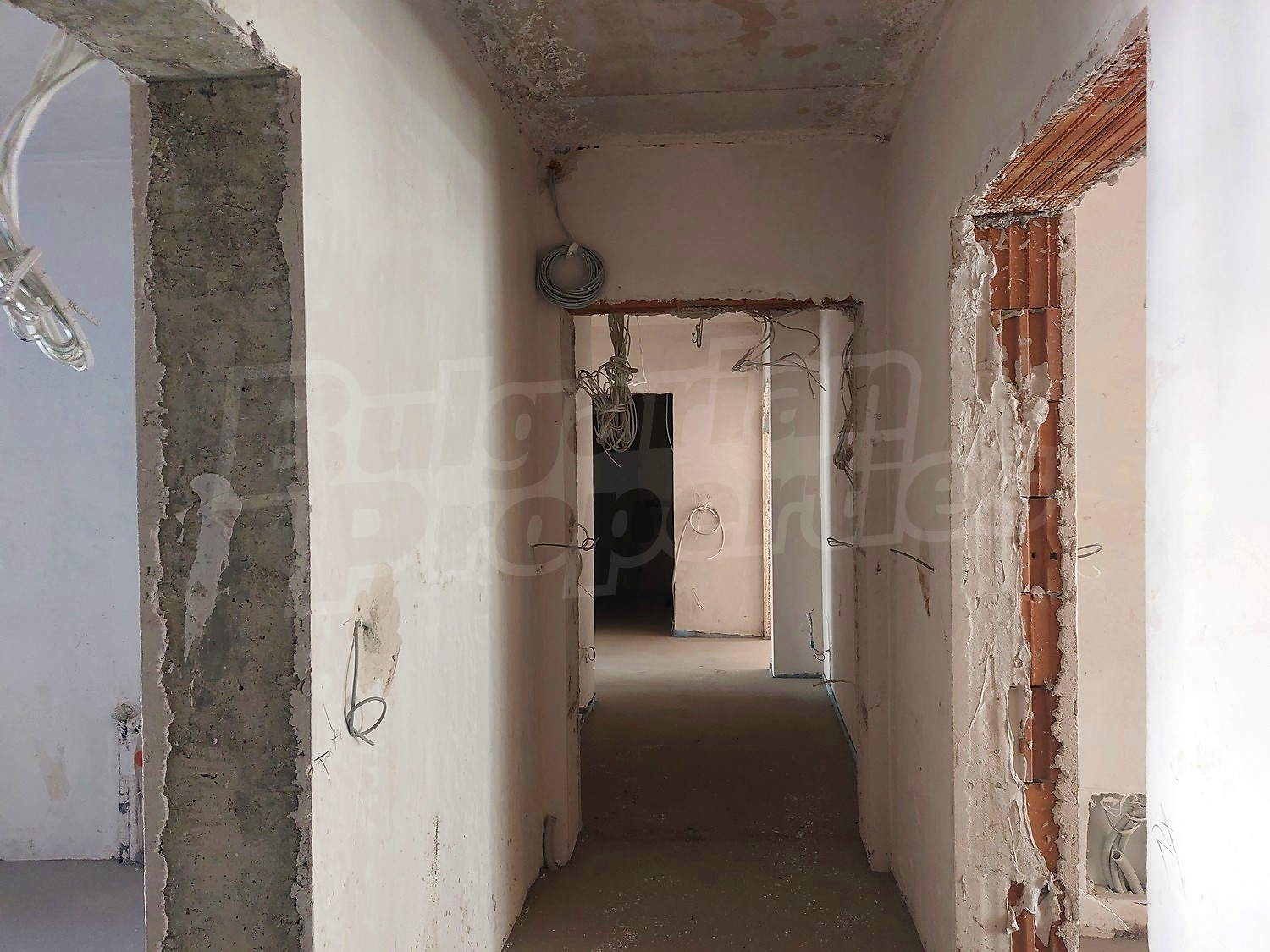 Gallery Picture 23