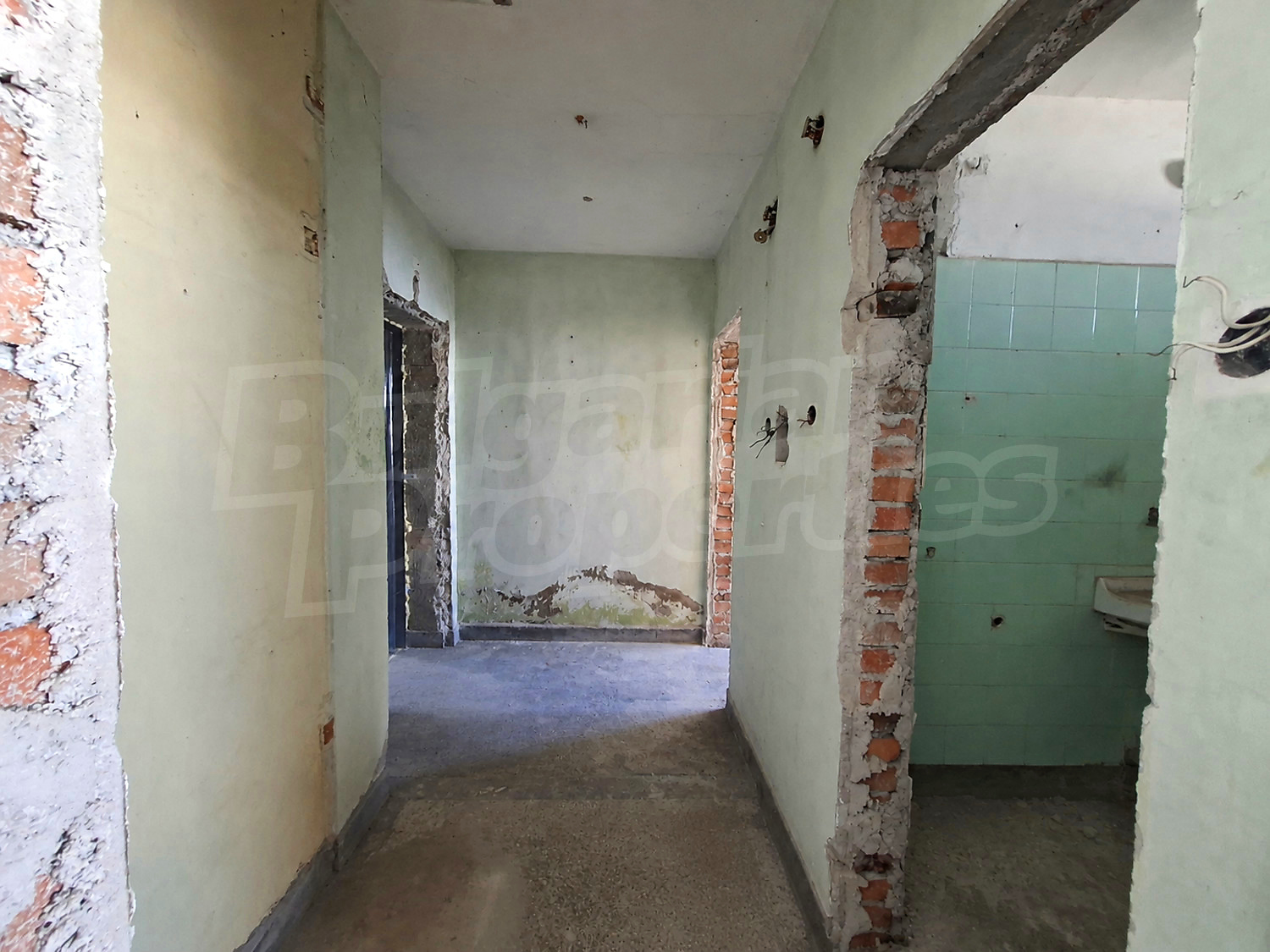 Gallery Picture 6