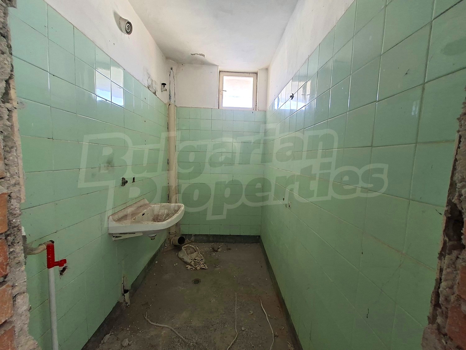 Gallery Picture 5