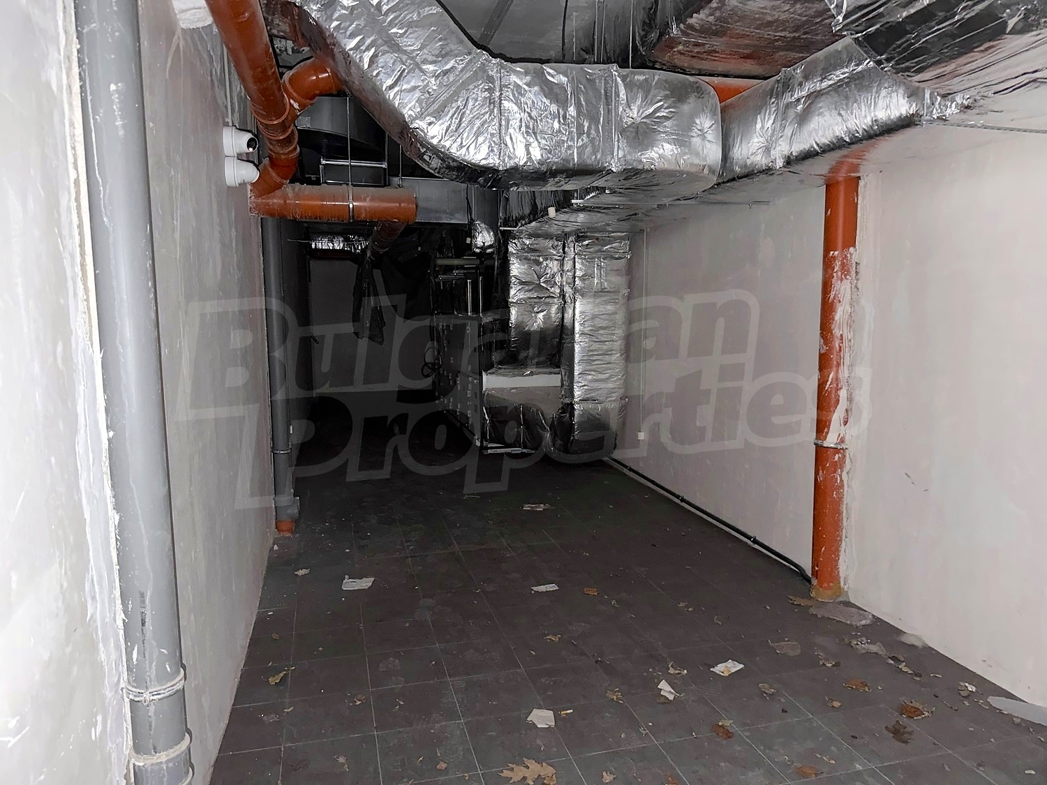 Gallery Picture 11