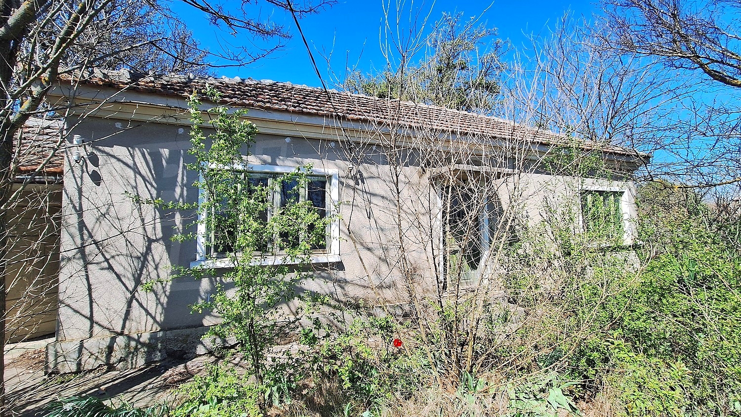 Gallery Picture 45
