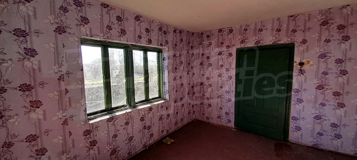 Gallery Picture 16
