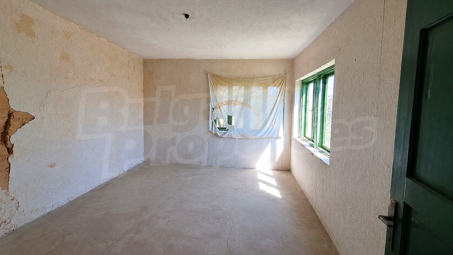 Gallery Picture 5