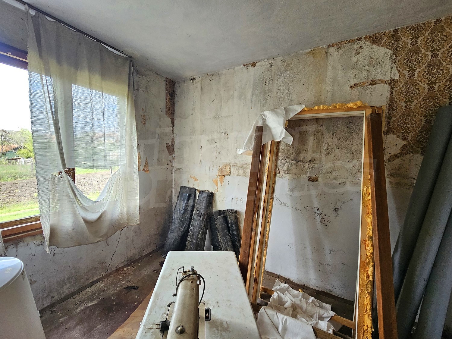 Gallery Picture 29