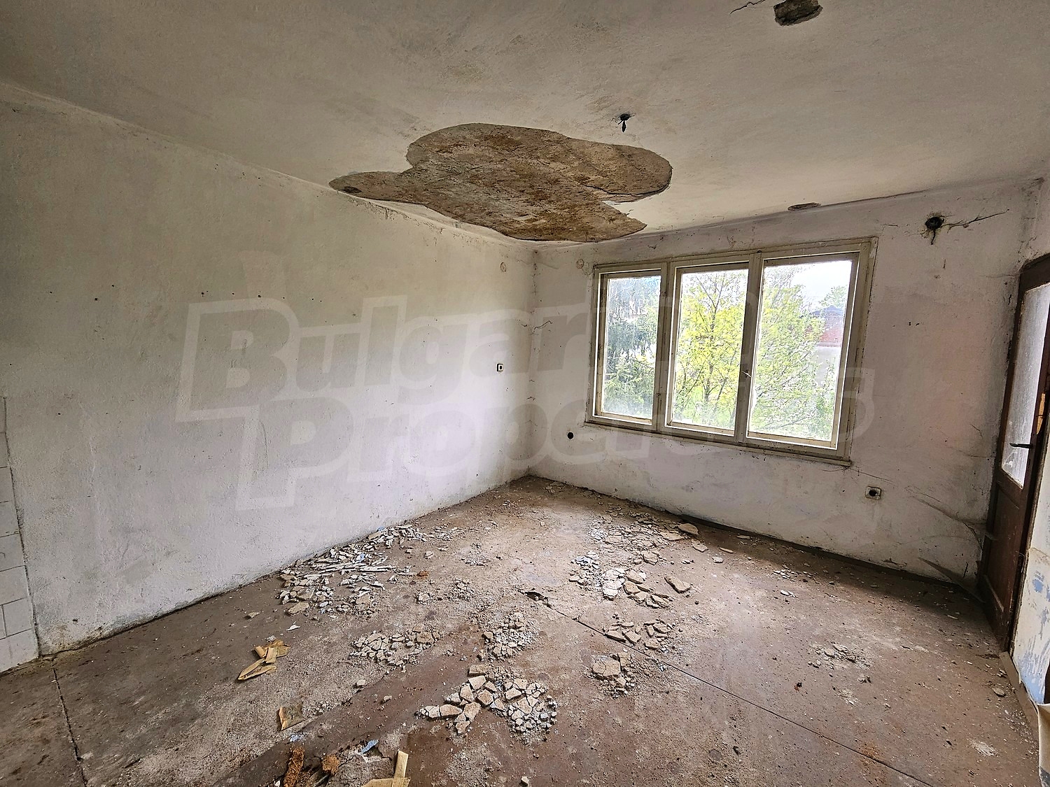 Gallery Picture 9