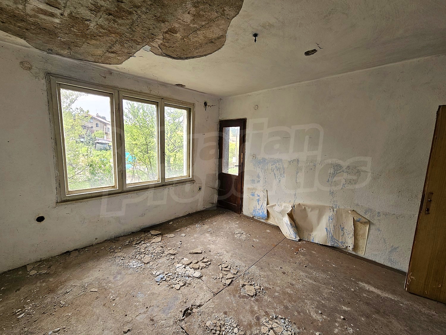 Gallery Picture 10