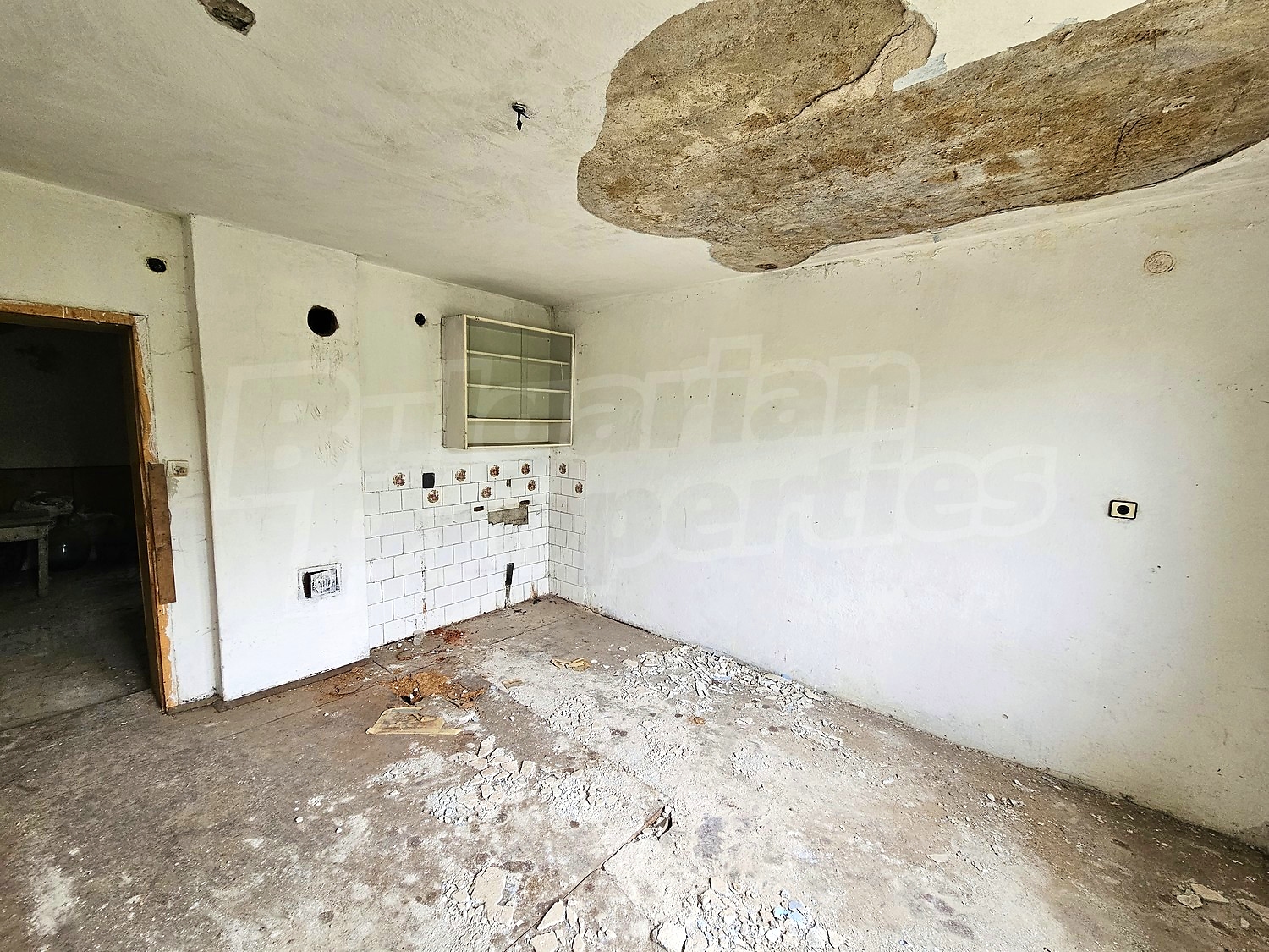 Gallery Picture 12