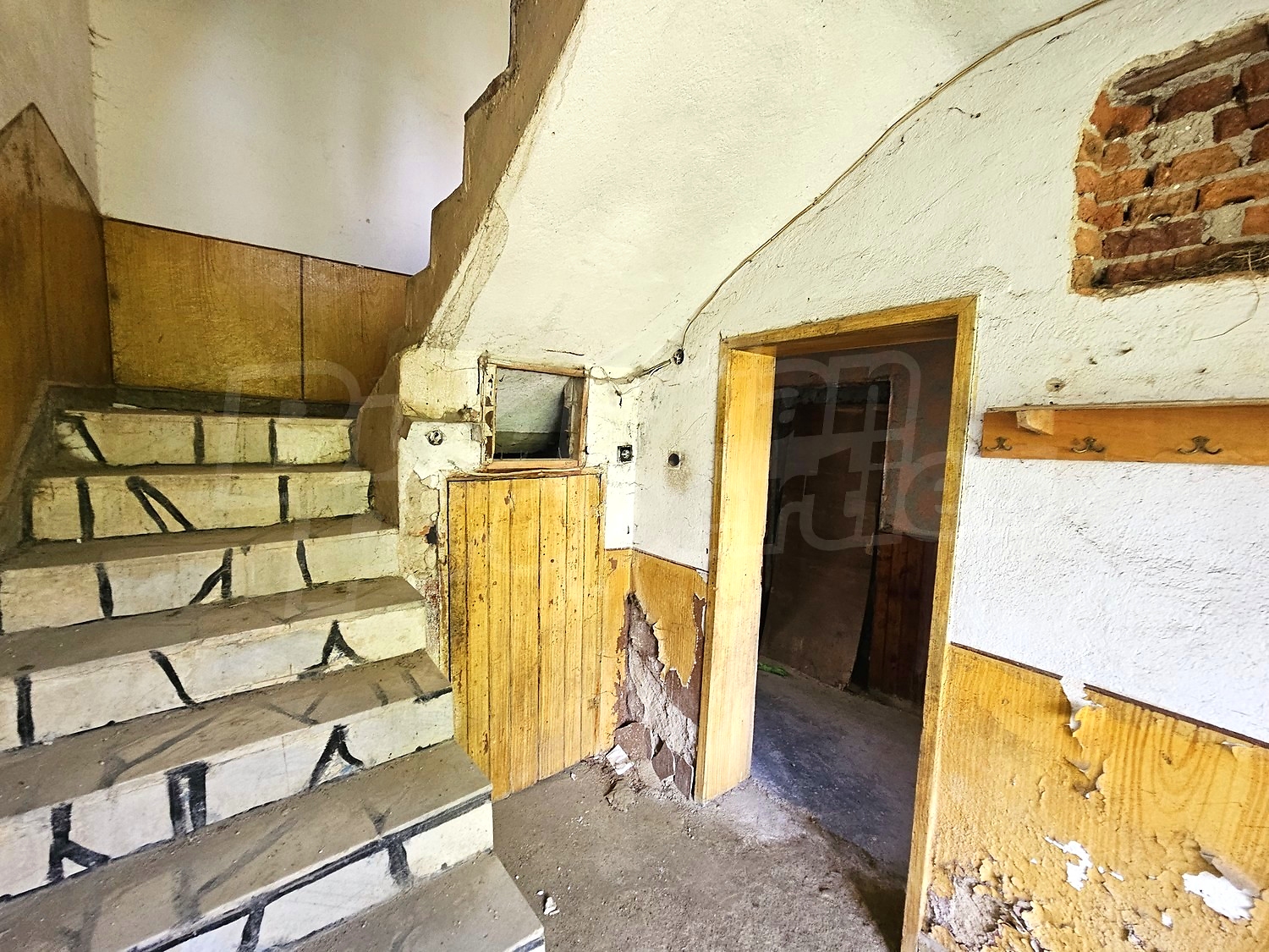 Gallery Picture 18