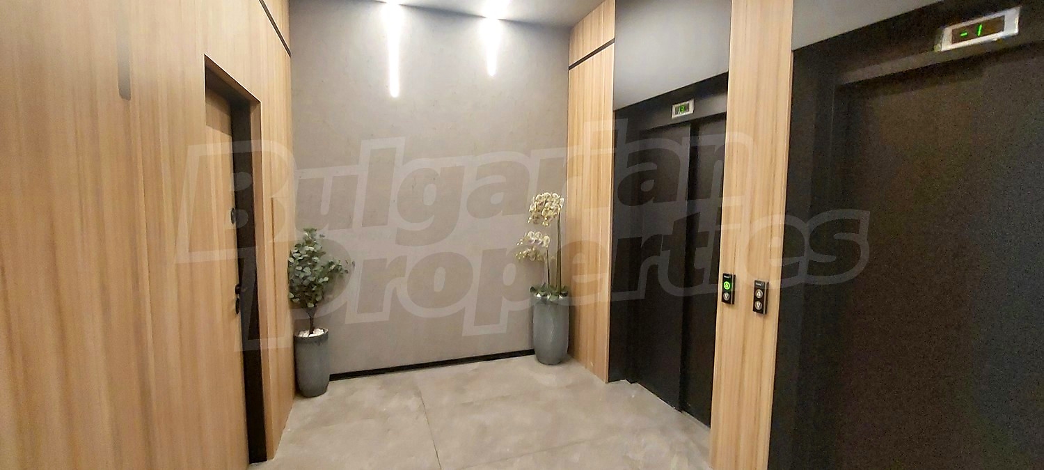 Gallery Picture 10