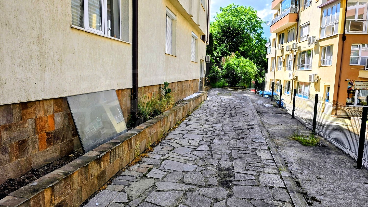 Gallery Picture 17