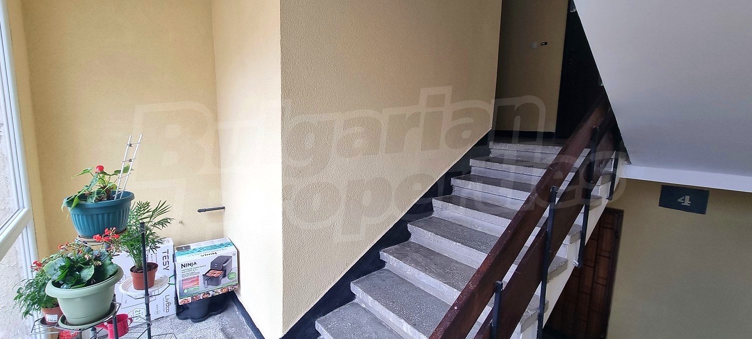 Gallery Picture 15