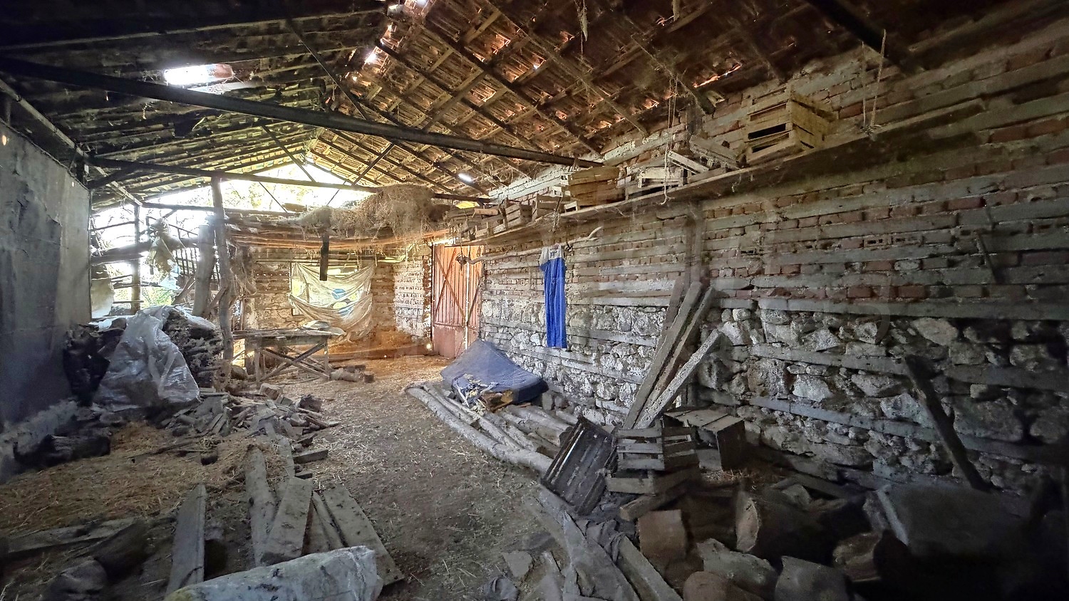 Gallery Picture 47