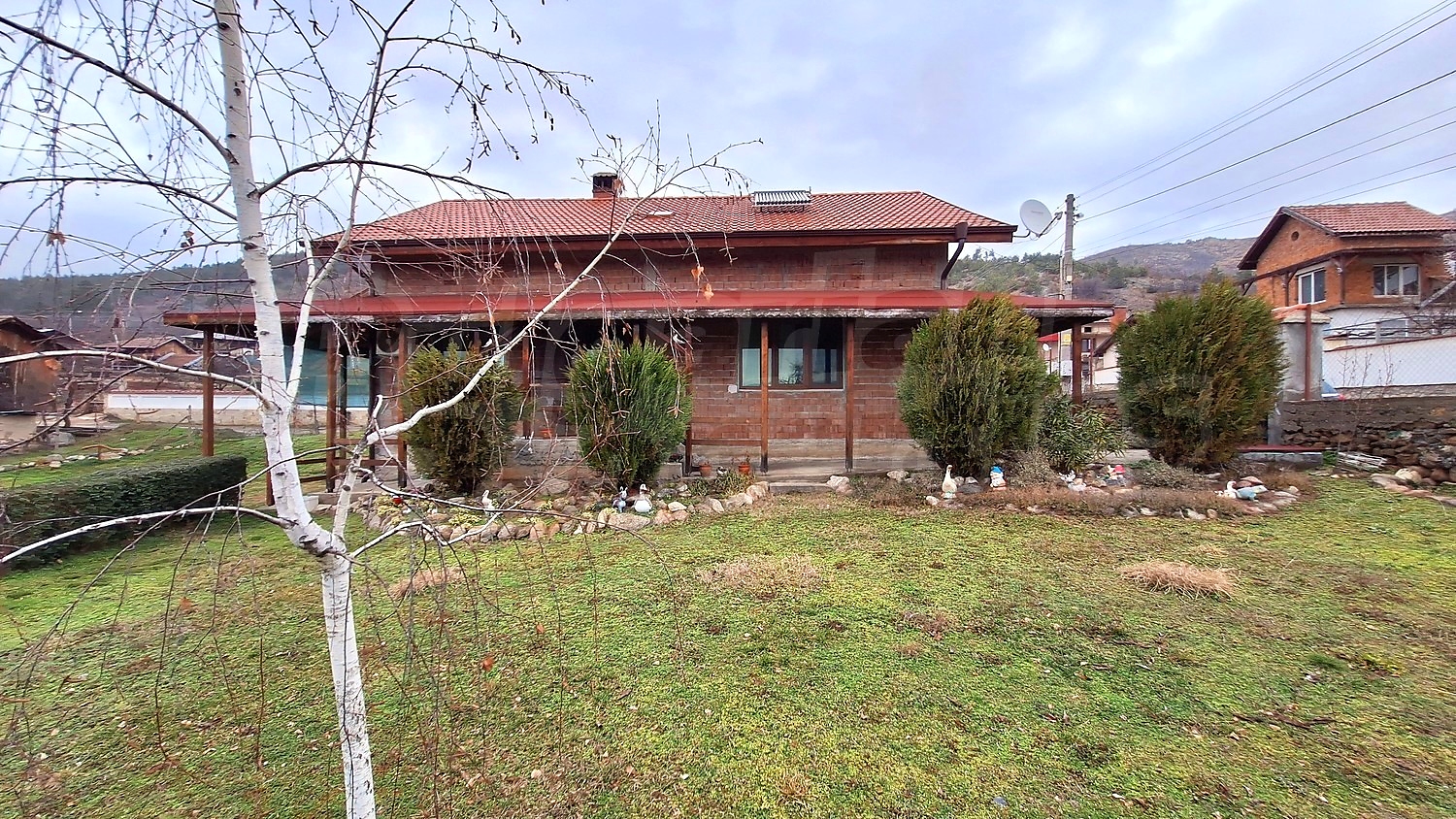 Gallery Picture 39