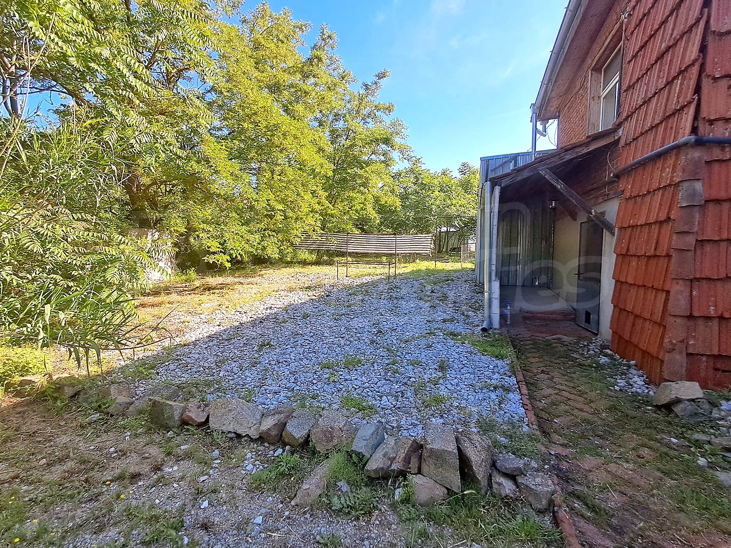 Gallery Picture 36