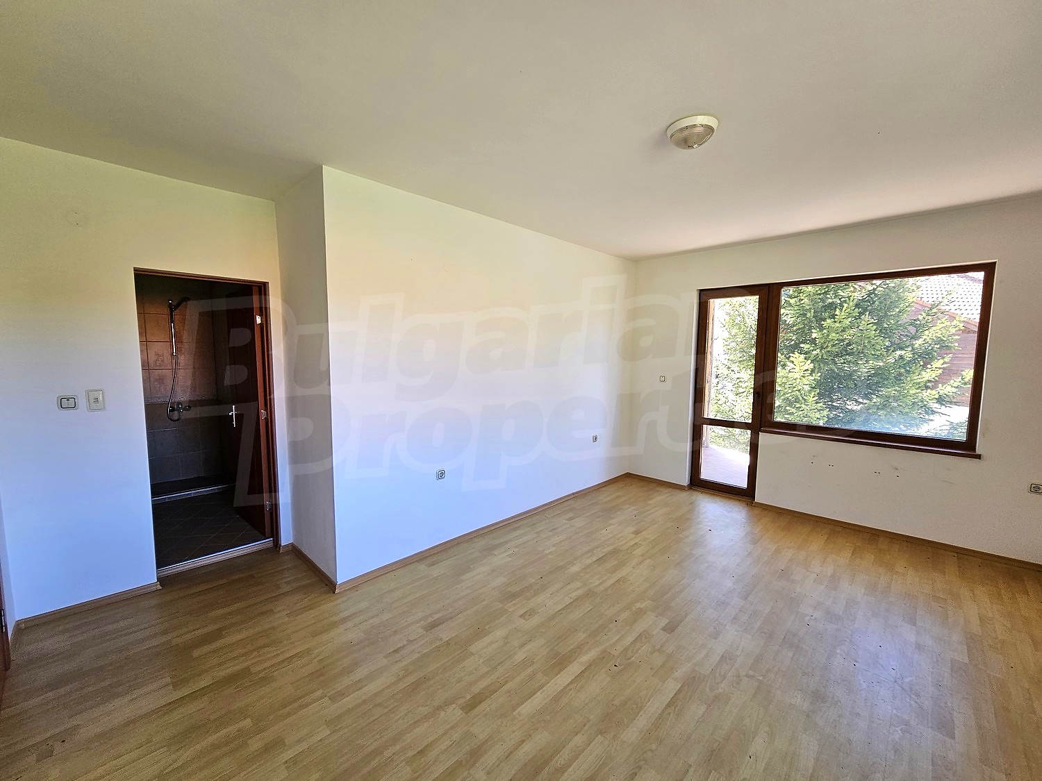 Gallery Picture 15