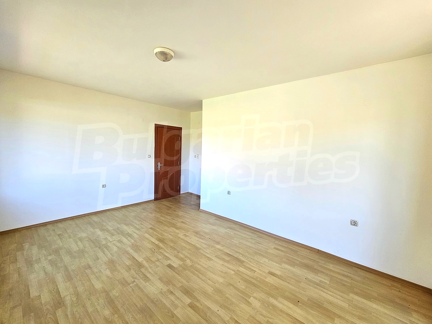 Gallery Picture 17