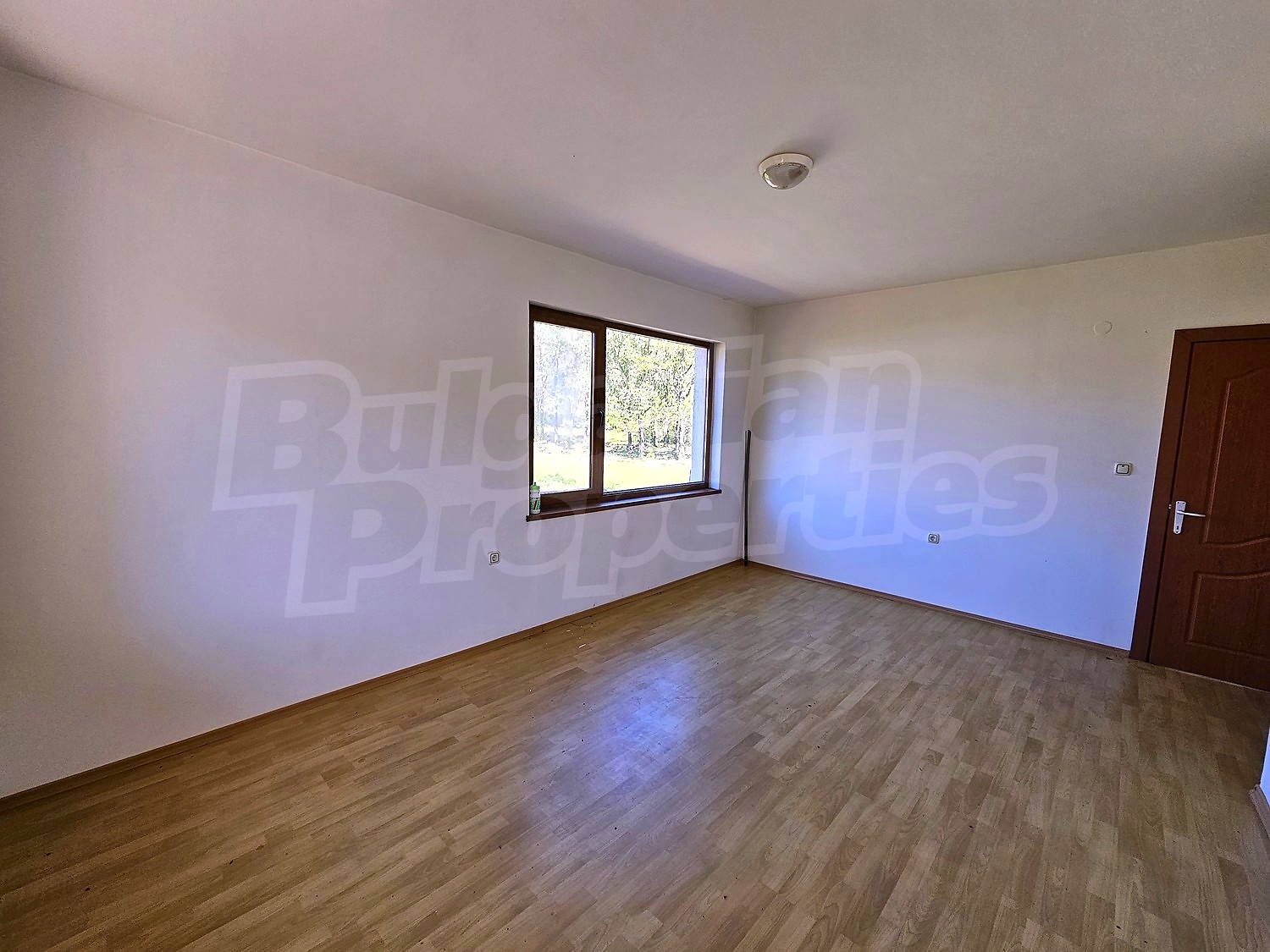 Gallery Picture 16