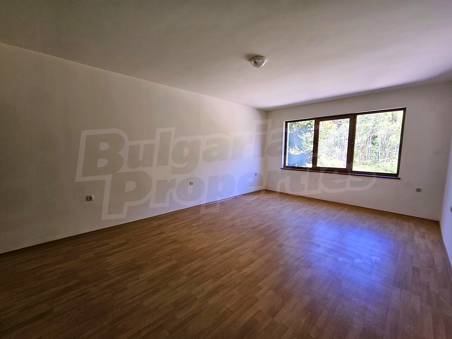 Gallery Picture 2