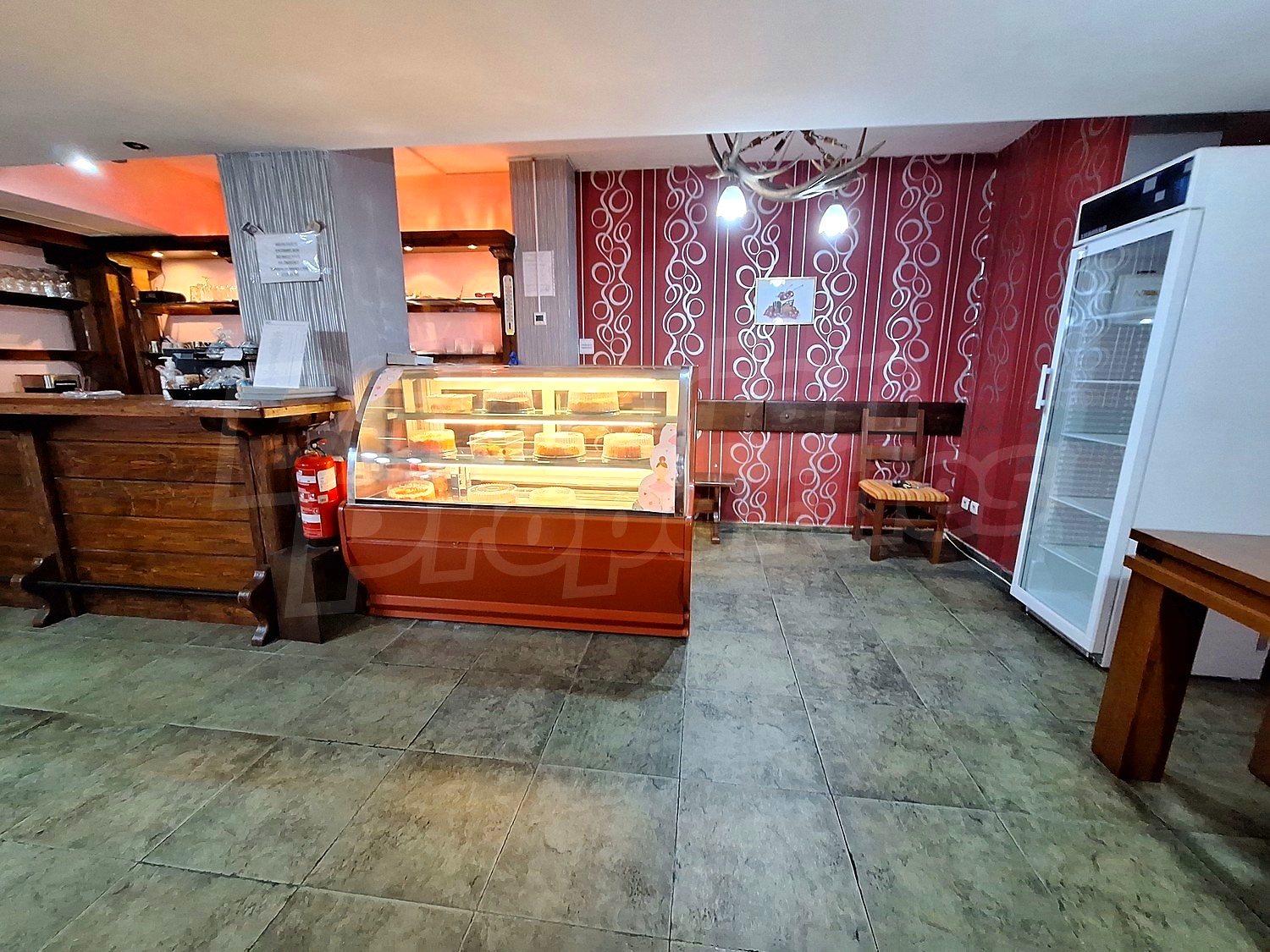 Gallery Picture 19